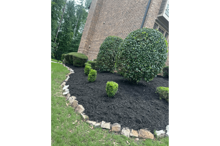 Top Cut Lawn Care